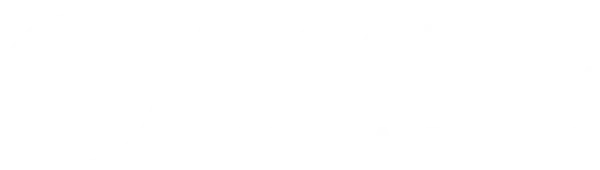 Alectric Renewables Logo