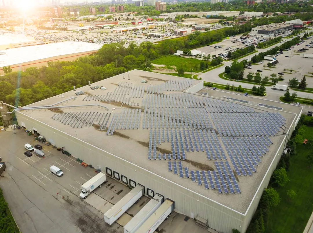 Utility-scale solar panel installation in Canada, showcasing growth in solar energy despite USA tariff pressures.